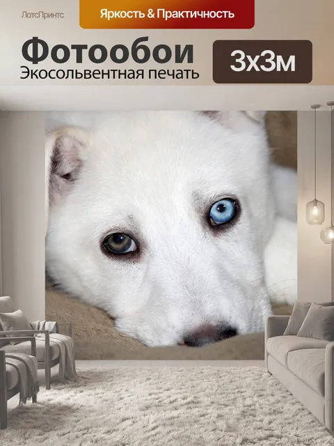 Фотообои Различные цвета глаз