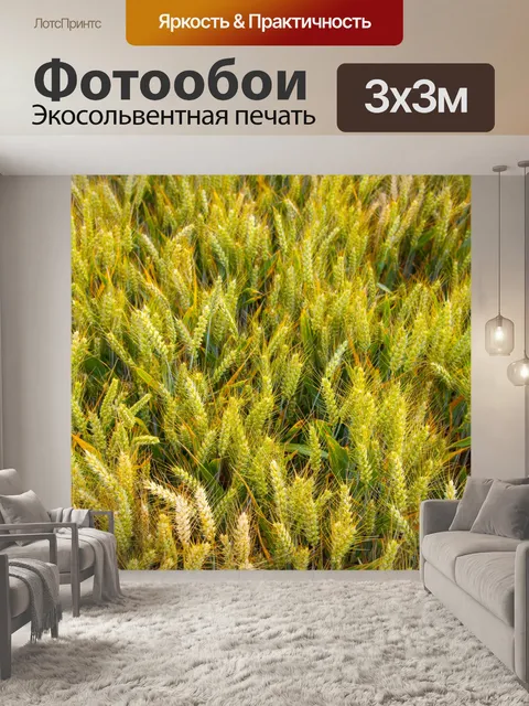 Фотообои Золотое пшеничное поле и солнечный день