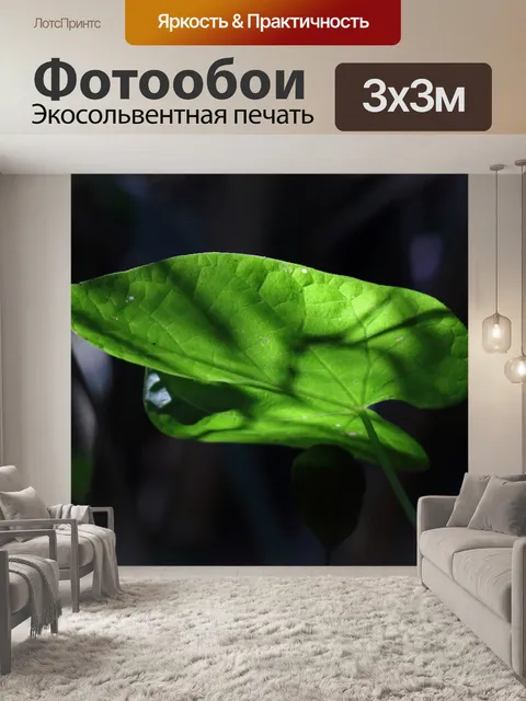 Фотообои нижняя сторона зеленого листа с прожилка