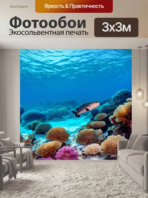 Фотообои египет: секреты подводного мира красного моря и морских существ