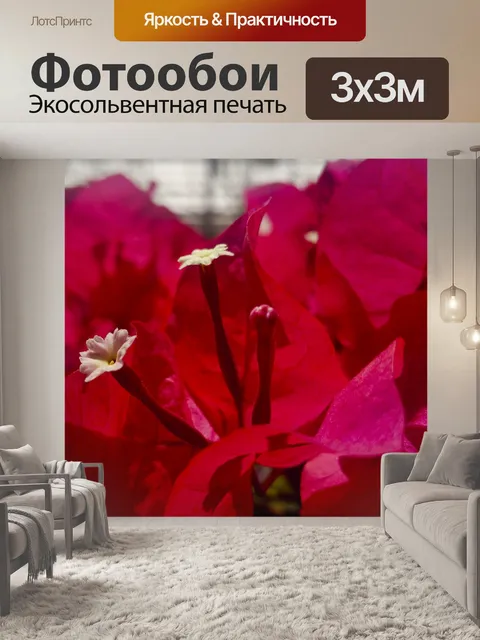 Фотообои Боейнвиллея в Красном