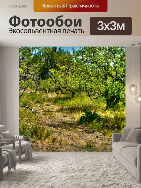 Фотообои Прочный путь грязи