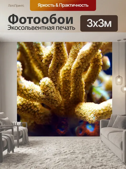Фотообои Коралл