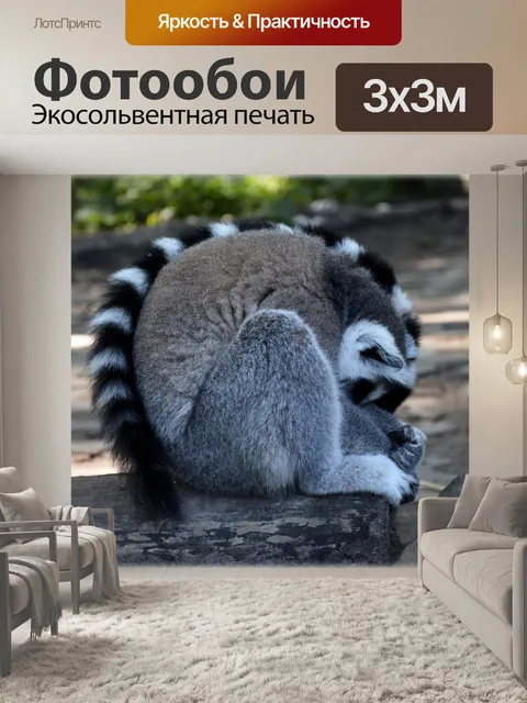 Фотообои Кошачий лемур 8