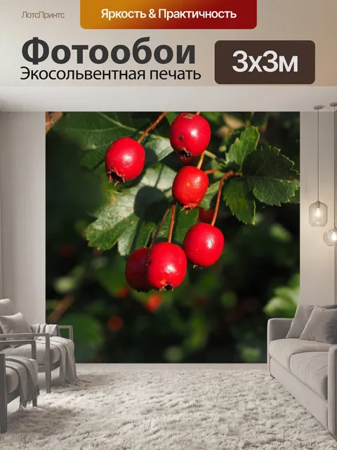 Фотообои Ягода
