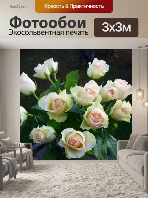 Фотообои Букет из роз