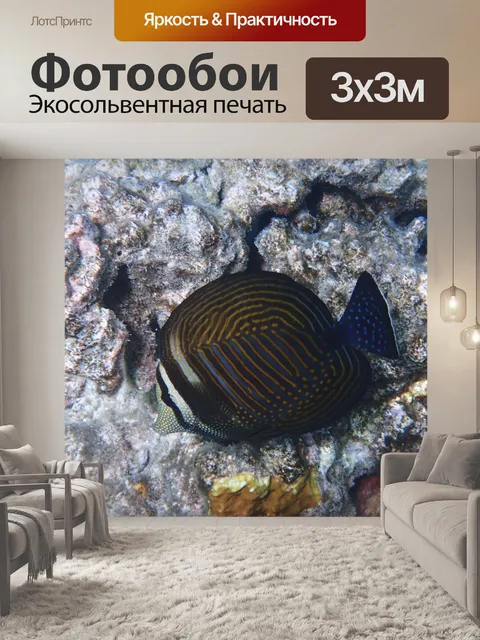 Фотообои Нырять