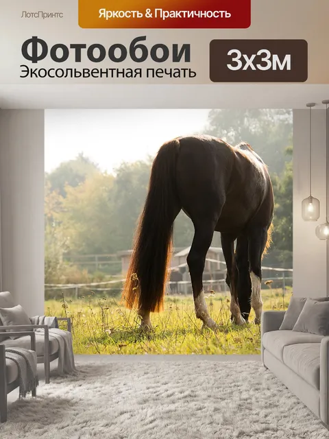 Фотообои Лошадь