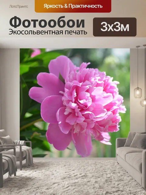 Фотообои Пион