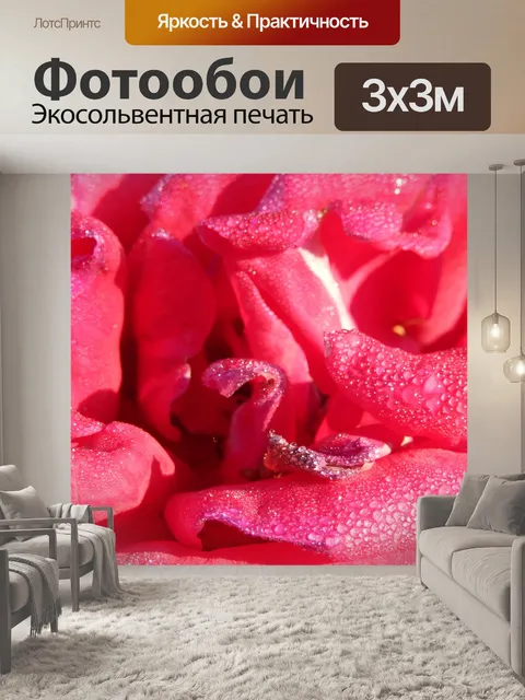 Фотообои Роза