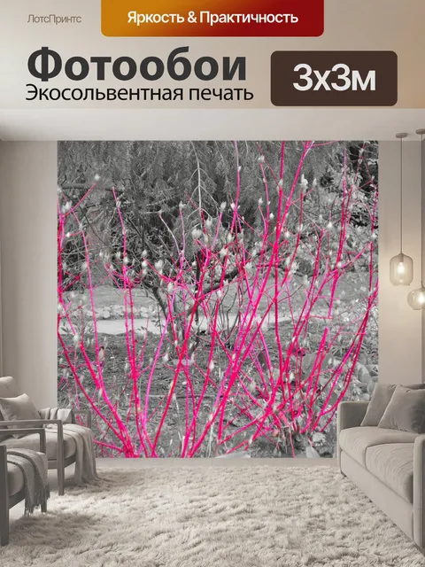 Фотообои Красное свечение кустарников