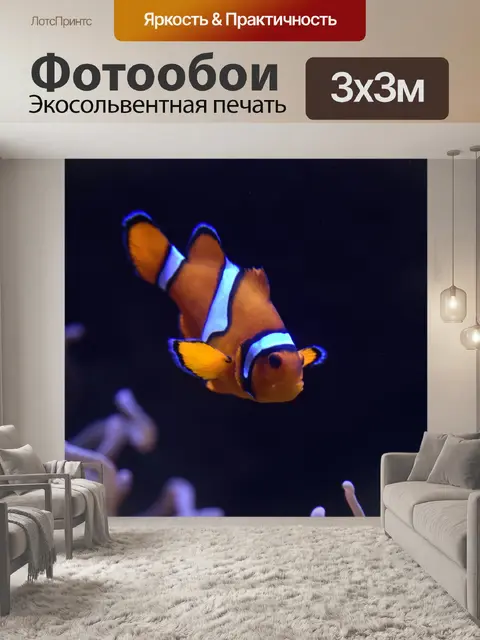 Фотообои Немо Рыба-Клоун