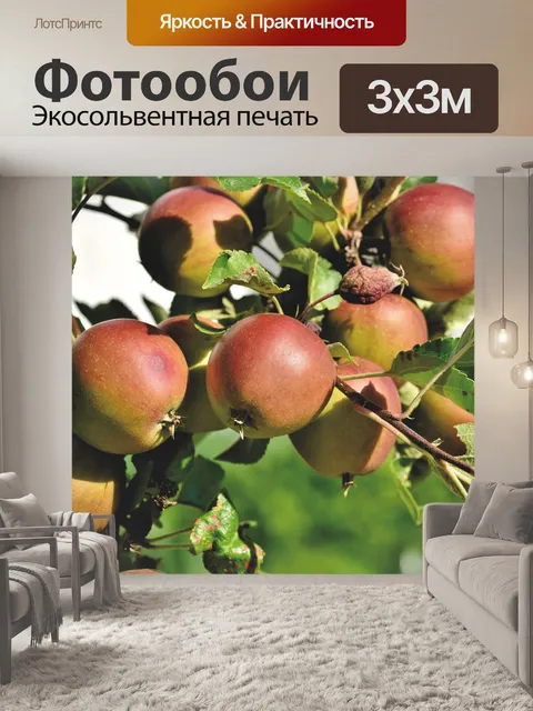 Фотообои Яблоня