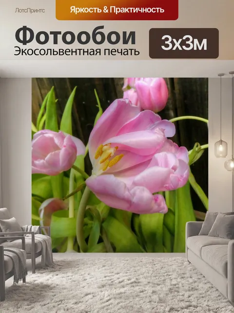 Фотообои Розовые тюльпаны