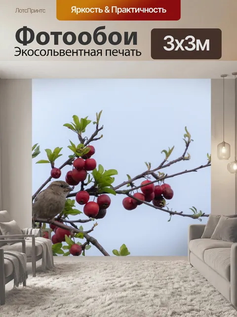 Фотообои Воробей