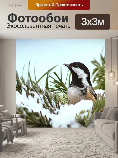 Фотообои Синица
