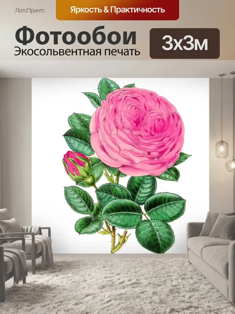 Фотообои Клипарт Rose pink vintage