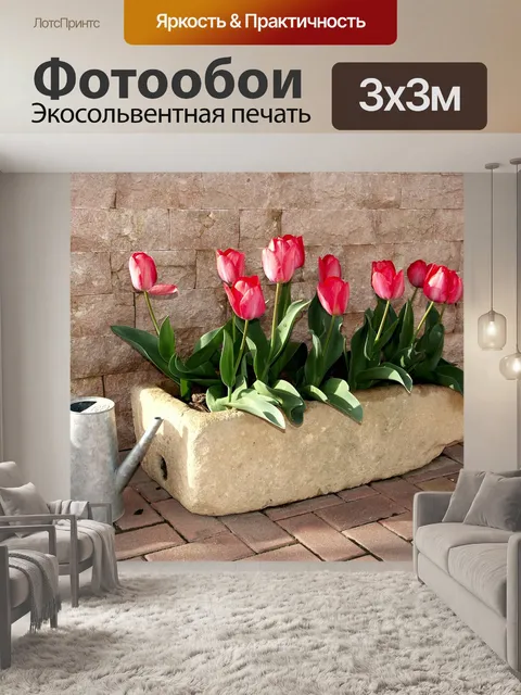 Фотообои Тюльпаны