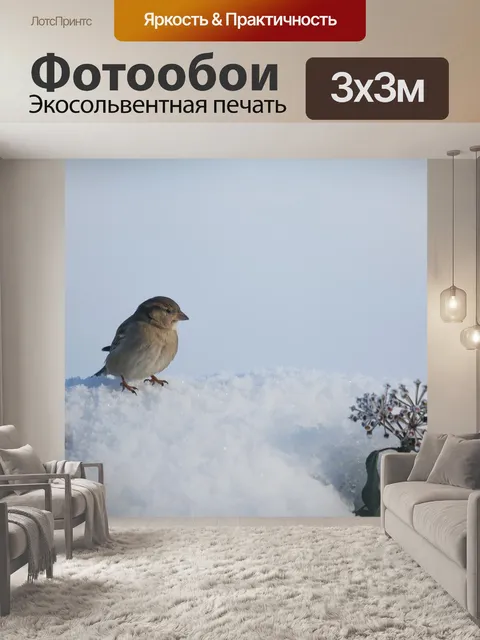 Фотообои Птица