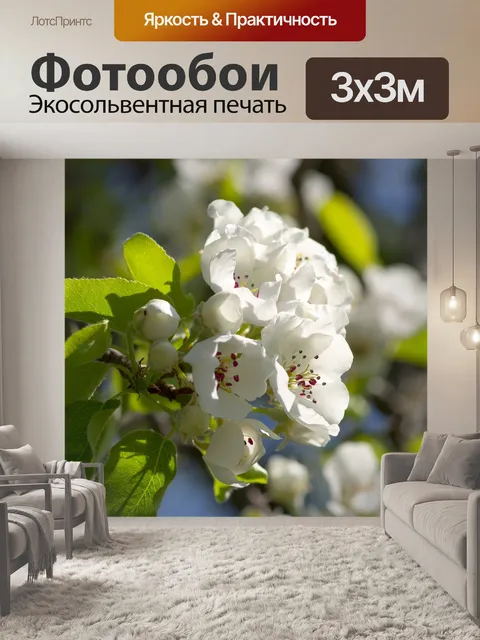 Фотообои Белый
