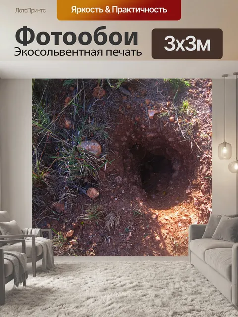 Фотообои отверстие туннеля для животных