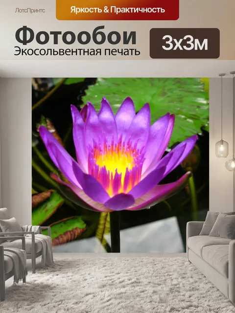 Фотообои Лотос
