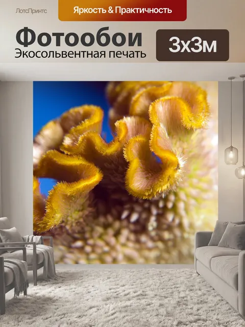 Фотообои Природа