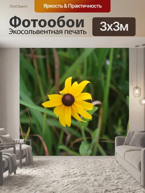 Фотообои Черные глаза Susan
