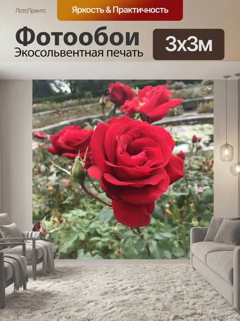 Фотообои Розы