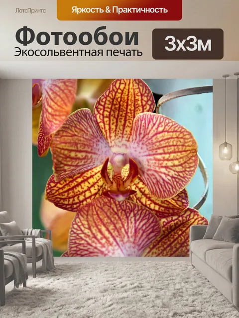 Фотообои Орхидея