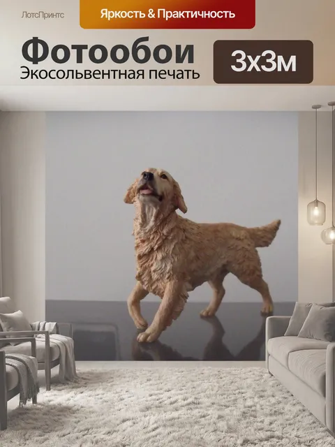 Фотообои Золотистый ретривер