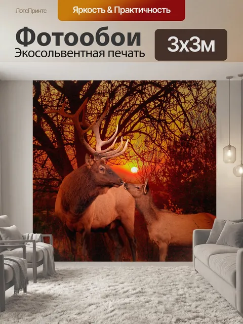 Фотообои Лось