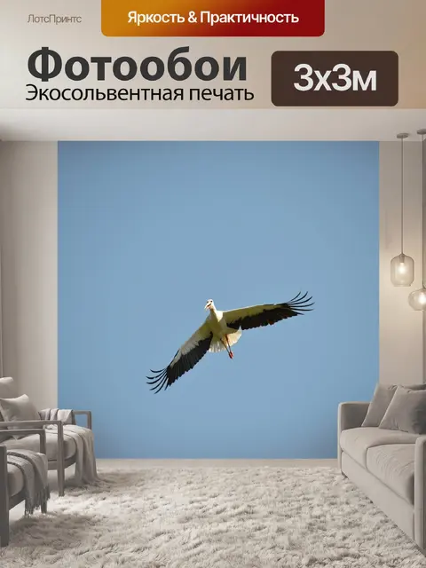 Фотообои Летающий