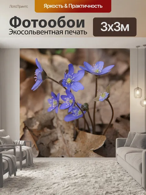 Фотообои Синие цветы