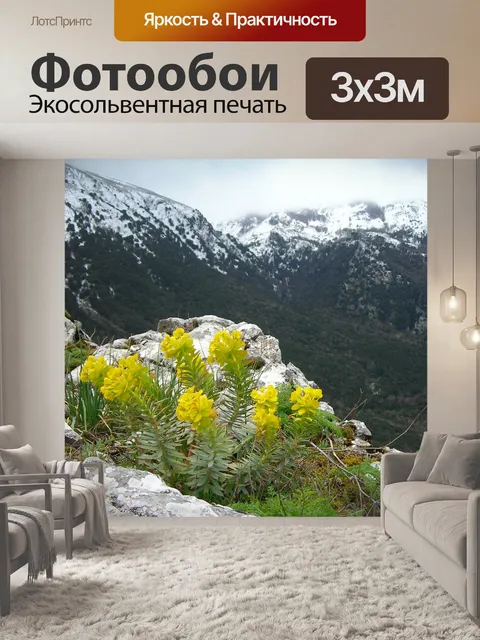 Фотообои Этна