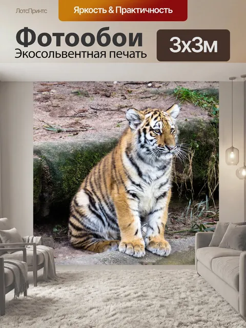 Фотообои Животные