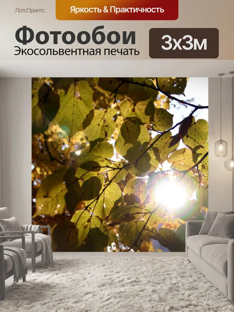 Фотообои Осень
