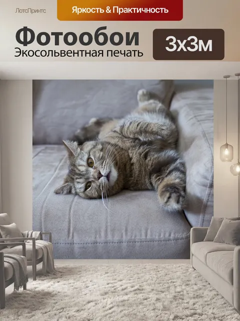 Фотообои Кот