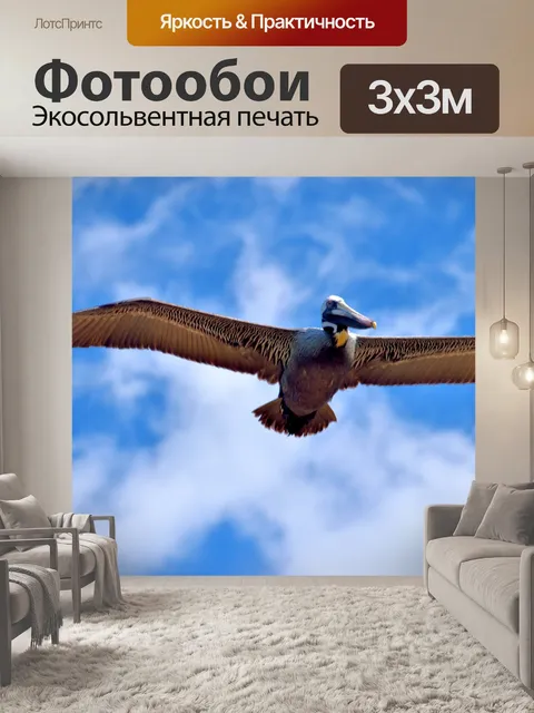 Фотообои Пеликан в полете