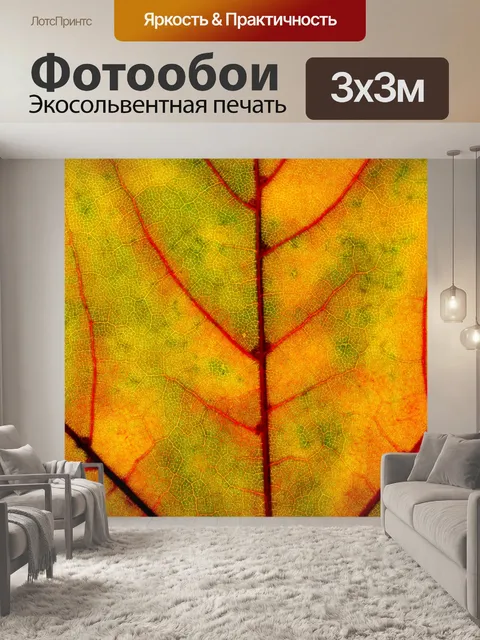 Фотообои Осенняя листва лист макросъемка