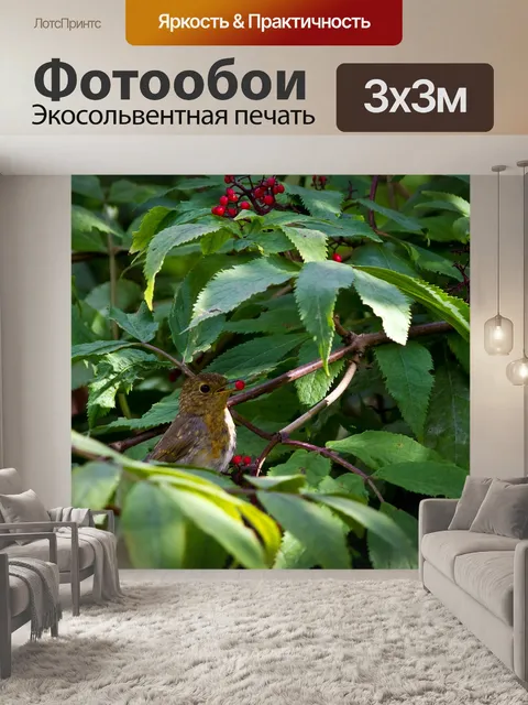 Фотообои Птица