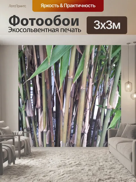 Фотообои Slim бамбука стебля и корня
