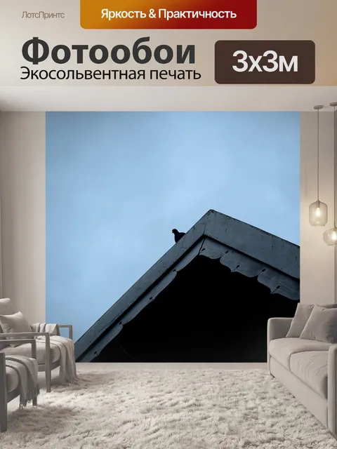 Фотообои Голубь