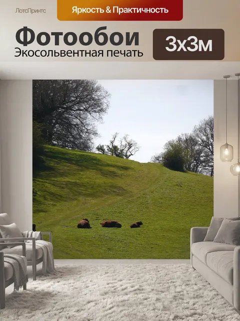 Фотообои Дерево