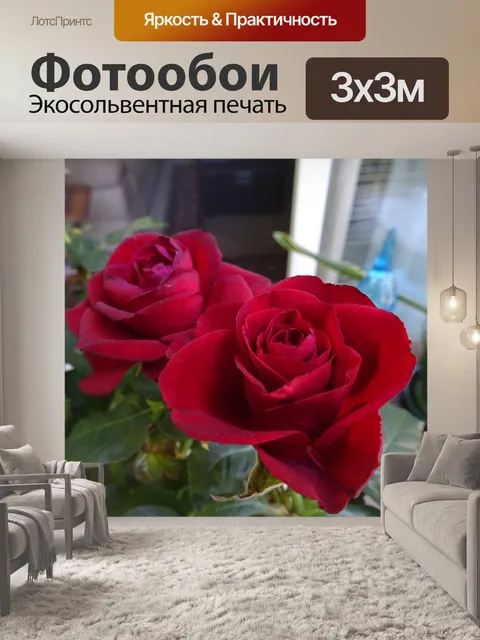 Фотообои красные розы