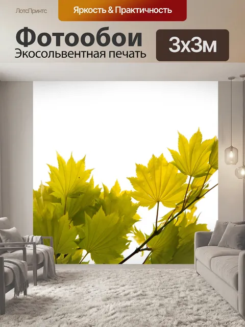 Фотообои Зеленые листья