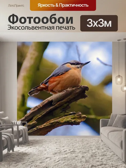 Фотообои Птица