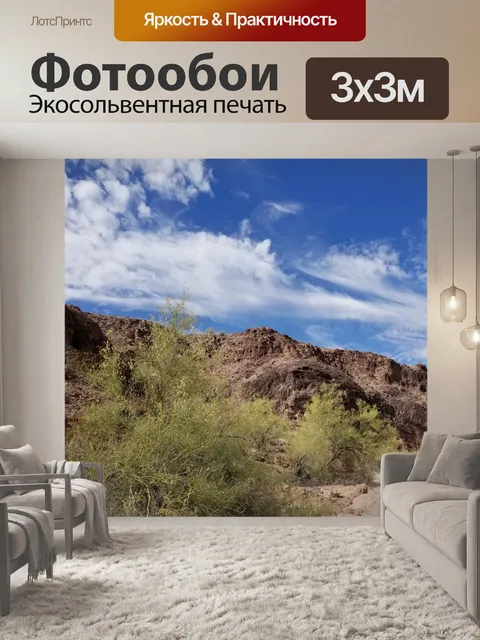 Фотообои Аризонский пустынный пейзаж