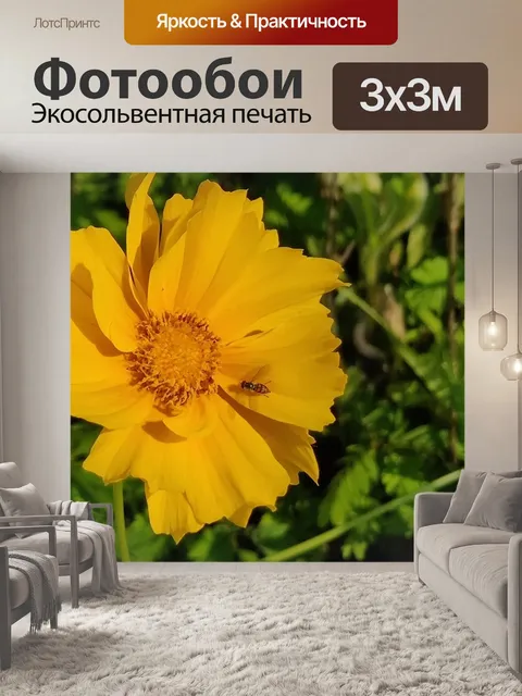 Фотообои Цветок