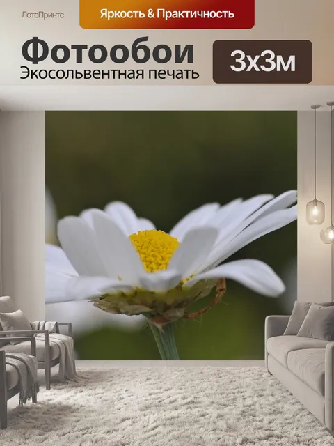 Фотообои Цветы